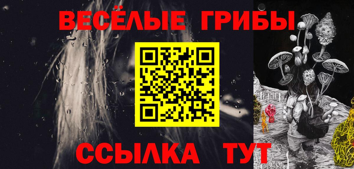 Псилоцибиновые грибы GOLDEN TEACHER  Вход с VPN  Шахты 